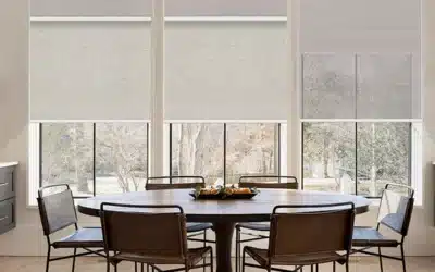 Dual Roller Shades Bellevue WA | Day-Night Light Control
